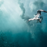 Una gigantesca migración atacada por cielo, mar y tierra