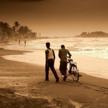 Los amigos tienen una vida media de 7 años