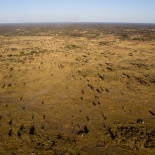 Okavango, el río que convierte en oasis el desierto
