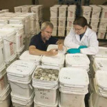 Un juez de EE UU da la razón a España en el litigio con Odyssey