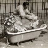 El trabajo más peligroso del mundo