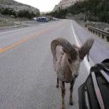 Hay días en los que te encuentras con un cabrón en la carretera...