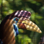 Una isla poblada de criaturas extrañas en Indonesia