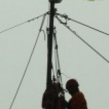 Europa cazará más ballenas que Japón