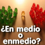 ¿Por qué el pelo del oso polar es blanco?