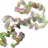 Un medicamento que podría darte una memoria visual perfecta [ENG]