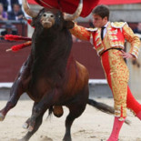 Unas 200 personas se clavarán banderillas para mostrar el dolor que padecen los toros