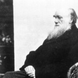 El 45% de los españoles cree en Dios y en Darwin