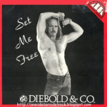 Las 50 portadas de discos más gays de la historia