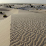 Desiertos, ¿cada vez más verdes?