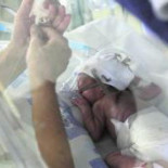 La enfermera del «caso Ryan» desmonta ante el juez la versión del hospital