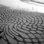 Carrera contra la marea: Un artista crea obras de arte en la arena que el mar borra cada día