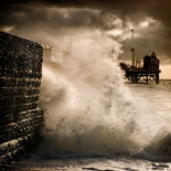 Oyster, el secreto para obtener la energía del océano