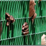 Liga Norte: el odio legalizado