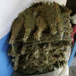 Los jóvenes conocen los riesgos de la droga, pero la consumen por sus "beneficios sociales"