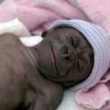 Humancé: híbrido de humano y chimpancé