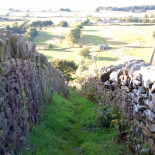 El pueblo que se fue de Inglaterra