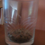 ¿Cuántas lentejas entran en un vaso?