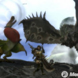 Capcom banea a un jugador de Monster Hunter 3 hasta el año 9999