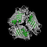 Primera cuantificación rigurosa de entrelazamiento cuántico en un sistema biológico