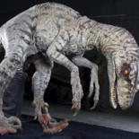 Las garras asesinas de los velocirraptores eran para trepar por los árboles, no para destrozar a sus presas [ENG]