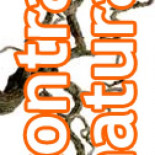 El sentido del humor homófobo