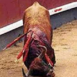 Barcelona. Ciudad de hipócritas