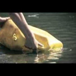 Año 2009: Las grandes empresas comienzan a traficar con el agua