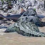 Una Review de una copia pirata de Windows 7 comprada en Ebay (Humor)