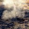 Un insólito incendio subterráneo azota las Tablas de Daimiel