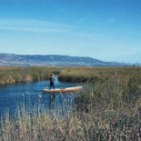 Medio Ambiente admite que el daño en las Tablas "es irreversible"