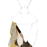 Insectos mutantes de Chernóbil