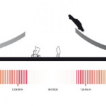 Diseñan un puente para hacer volar a los coches