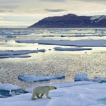 Estados Unidos da luz verde a Shell para iniciar perforaciones en el Ártico (ING)
