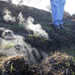 Bruselas expedienta a España por la extrema degradación de Daimiel