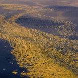 Comienzan a mostrarse las consecuencias del vertido petrolero en el Mar de Timor