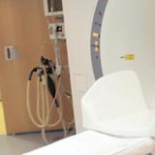 Desarrollan un método experimental capaz detectar células tumorales en 2 minutos