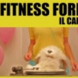 La Casa Azul: ganadores en los UK Festival Awards 2009