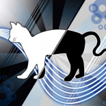 Las ondas gravitacionales impiden que estemos en dos sitios a la vez