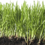 Políticos al borde de un ataque de nervios: el movimiento descentralizado. Enrique Dans