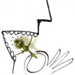 Vegetarianos, las plantas tampoco quieren morir