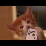 ¿El mejor antivirus del mundo?