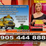 Los gatos subidos en autobuses no saben matemáticas