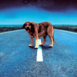 "Él nunca lo haria"