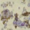 Utilizan nanopartículas para luchar contra el cáncer de ovarios [EN]