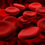 Un seropositivo con leucemia cura ambas enfermedades con un transplante de médula