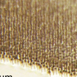 Células solares "peludas" (98% de plástico, 96% de absorción de luz)