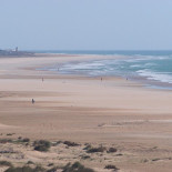 Salvar "El Palmar"