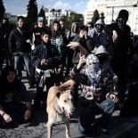 El perro que no se pierde un sólo motín en años