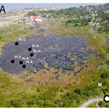 Hallan vida microbiana en un lago de hidrocarburos (ING)